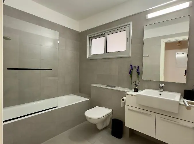 公寓 Panorama 尼科西亚